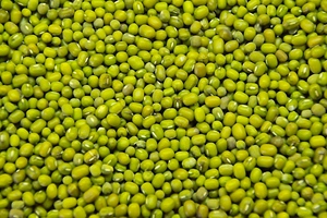 Proveedor mayorista de frijoles mung verdes frescos a granel / frijoles moong enteros de alta calidad y gran stock con envío rápido a Austria - Product Image 5