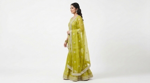 Vestido Mehndi Pakistaní para Mujer con Adornos Intrincados, Colores Vibrantes y Moda Nupcial Tradicional del Sur de Asia - Product Image 3