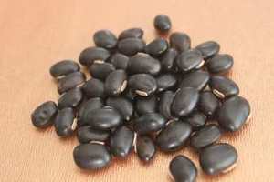 ผู้จัดจำหน่ายจำนวนมากของ Mucuna pruriens จากอินเดีย - Product Image 3