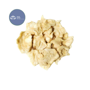 [VENTE CHAUDE] |   Tranches de corossol séché moelleuses, friandise à mâcher, pour la consommation quotidienne, la pâtisserie et les desserts, vente en gros, approvisionnement en vrac, Vietnam - Product Image 1