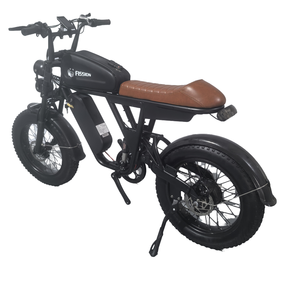 Vélo électrique urbain tout-terrain rétro à vitesse unique, moteur 250W, assistance au pédalage, pneus larges 20 pouces, batterie lithium-ion, électronique - Product Image 3
