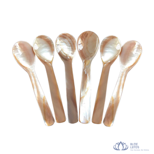 [MEILLEURES VENTES] Cuillère à caviar moderne écologique en nacre, faite à la main, à long manche, pour la table, le thé et les desserts - BLUE LOTUS - Product Image 1