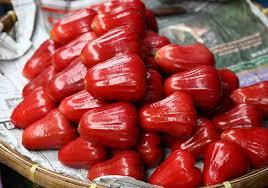 Fruta Fresca de Primera Calidad – Proveedor de Vietnam, Dulce y Jugosa, Fruta Tropical Natural // Sr. Tom - Product Image 2