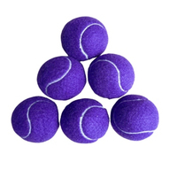 Ballons de tennis professionnels de haute qualité pour l'entraînement et les matchs, en caoutchouc, pour le cricket et les sports de plein air, vente en gros