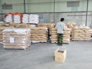 Amidon de marante vietnamien naturel de haute qualité - Product Image 6