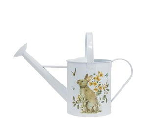 Arrosoir rustique de marque privée pour la décoration de jardin de style campagnard et l'arrosage quotidien des plantes extérieures, au look vintage - Product Image 1