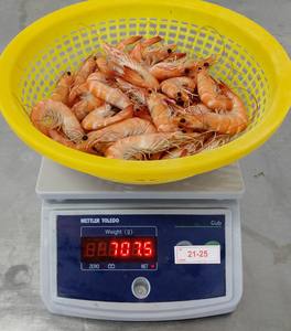 Camarón Vannamei de Vietnam, tamaño 21/25, entero, congelado, con cabeza, 23 + bolsa de color, embalaje, procesado sin cabeza - Product Image 6