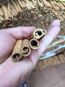 อบเชยแท่งขายดีอันดับต้นๆ จากเวียดนาม / อบเชยซีลอน เครื่องเทศคุณภาพดี อายุการเก็บรักษา 24 เดือน ใช้ได้ในปริมาณมาก - Product Image 5