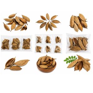 AQUA VRIKSHA Cápsulas Naturales de Pungam para Acuarios, Peceras de Betta, Peceras de Camarones y Acuapaisajismo |   Paquete de 10 - Product Image 2