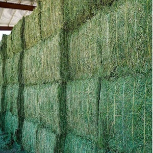 Heno de Alfalfa Premium, Fibra Natural, Alto Contenido de Proteínas, 12 Meses de Vida Útil, para Ganado, Caballos, Ovejas, Cabras y Otros Animales Herbívoros - Product Image 5