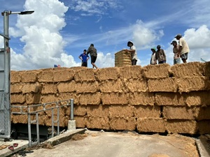 ใยมะพร้าวธรรมชาติรักษ์โลก ขนาด 5-25 ซม. บรรจุภัณฑ์แบบกำหนดเองพร้อมแผ่นพลาสติก ใยเปลือกมะพร้าวเวียดอาร์โก แบบมัดเป็นก้อนใหญ่ - Product Image 4