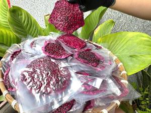Fruits du dragon séchés de qualité supérieure, procédé AD, tranchés, goût sucré, naturels du Vietnam, vente en gros - Mme Tarina - Product Image 2