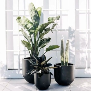 Jardinière noire moderne à nervures pour plantes vertes, pot de fleurs d'extérieur au design minimaliste, forme carrée, en matériau PP - Product Image 6