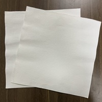 Feuilles de papier filtrant pour passoire à huile résistantes aux hautes températures pour les opérations des systèmes de friture des restaurants commerciaux