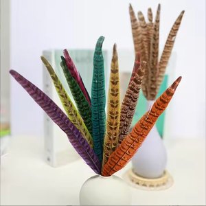 Bán Buôn Lông Nhuộm Lông Màu Đen Ringneck Gà lôi Đuôi Dài Lông Cho Hàng Thủ Công - Product Image 2