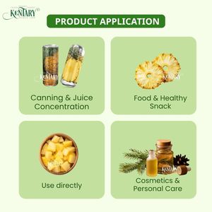 Ananas frais biologiques doux et sucrés en gros, haute qualité, longue durée de conservation, provenant du Vietnam central - Product Image 5