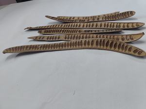 ผลไม้แห้งเดโลนิกซ์เรจียคุณภาพสูง ขายดี เป็นมิตรกับสิ่งแวดล้อม ใช้ได้ทั้งภายในและภายนอกอาคาร สำหรับตกแต่งกระถางต้นไม้ - Product Image 2