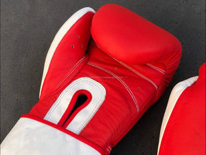 Guantes de MMA con Cordones Personalizables de Alta Calidad para Entrenamiento de Kickboxing y Muay Thai, Equipo Profesional de Boxeo - Product Image 6