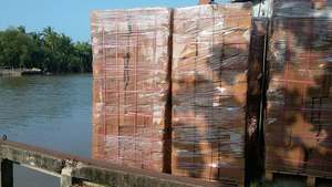 Bloques de turba de Coco de alta calidad Opción de cultivo respetuoso con el medio ambiente de Vietnam para horticultura Exportación al por mayor 99GD - Product Image 4