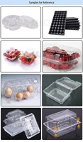 DB-42 forbona automatique semis fruits plateau plastique thermoformage machine