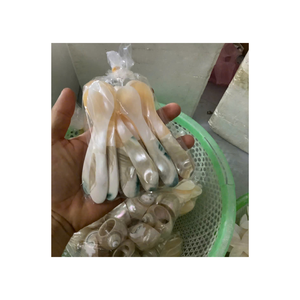 Cuillère de luxe en coquillage naturel avec finition polie miroir et plaquée argent pour repas de style côtier, ustensile artisanal en coquillage, vente en gros - Product Image 1