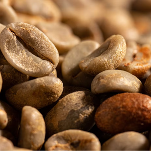 Specialty Vietnam Arabica Green Coffee <b>Beans</b> Size 16 Grade G1/G2 High Quality USDA Certified Low Defect 1000kg Bags - Product Image 1