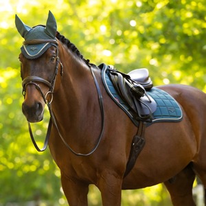 Selle de cheval classique verte à sangles, usage général, pour concours de dressage. - Product Image 2