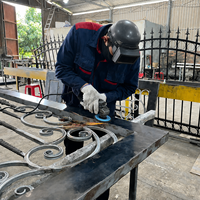 Portes en fer forgé haut de gamme : Magnifiques portes artistiques en acier offrant une protection robuste de la propriété et un savoir-faire de qualité supérieure.