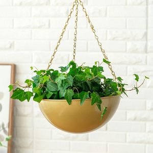 Décoration de chambre et de jardin, vente chaude, parfait pour la décoration, pot de fleurs rond pour planter des fleurs, meilleur prix - Product Image 2