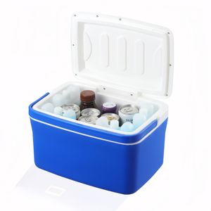 PP/EPS Cooler <b>Box</b> Food Beverage Eco-Friendly Modern Style Multi-Functional Outdoor <b>Camping</b> Portable Letter Pattern 195mm Depth - Product Image 2