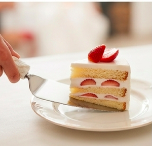 Elegant Stainless Steel Cake Knife and Server Set With White Floral Handle Ideal For Dessert Serving And Wedding Gifts - Product Image 5