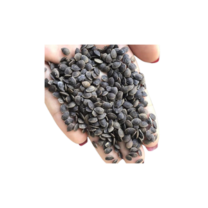 Export Quality Vietnam Manufacturer Supply Best Selling Low Price Pure Dried Passion Fruit <b>Seeds</b> <b>Packed</b> in 1kg Bag - Product Image 1