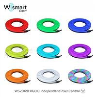 Tira de Luces LED Inteligentes RGBIC WS2812B de 5V USB, Luces de Neón a Prueba de Agua con Control Remoto por Aplicación, Color de Ensueño, Decoración para Sala de Juegos