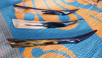 Chausse-pied de qualité supérieure, écologique, de style animalier antique, en matériau organique poli, 40 cm, objet de collection d'art européen, pour bœuf ou taureau