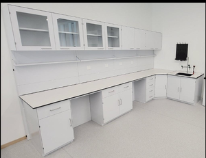 Banc de travail modulaire pour laboratoire avec armoires de rangement pour les laboratoires de recherche et pharmaceutiques - Product Image 6
