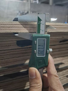 Contrachapado de Malla Metálica Antideslizante con Revestimiento de Película Premium para Construcción/Precios de Contrachapado para Construcción/Contrachapado Marino de 18 mm - Product Image 6