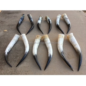 Arte de centro de mesa de cuerno de buey orgánico respetuoso con el medio ambiente para decoración de hoteles y villas de lujo - Product Image 2