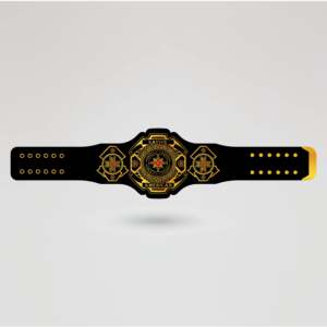 Custom Wrestling Championship <b>Belt</b> Black Strap <b>Gold</b> Metal Plates Sport Equipment Custom Championship <b>Belt</b>, Personalized Award - Product Image 2