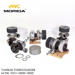 6AYM 148018-42031 IMPELLER pour YANMAR - Product Image 3