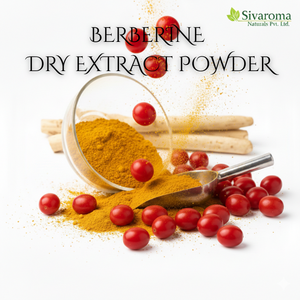 Poudre d'extrait sec de berbérine sauvage de qualité alimentaire, source naturelle, pour mélange d'ingrédients fonctionnels et utilisation dans le traitement commercial - Product Image 5