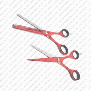 Ciseaux professionnels pour la perte de cheveux, 2 pièces, 6 pouces, ciseaux de coiffure pour salon de coiffure, instrument professionnel en acier inoxydable - Product Image 3