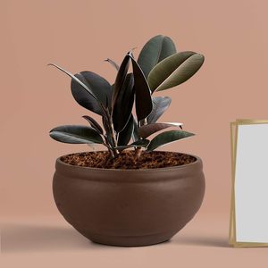 Small Multi Ceramic <b>Pot</b> Planter with Drain Holes for <b>Succulents</b> Decorative Indoor Outdoor Gamla for Balcony Home Office - Product Image 6