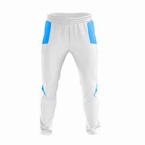Uniforme de cricket professionnel pour hommes, ensemble maillot et pantalon personnalisés pour équipe, imprimé par transfert thermique, col en V, manches courtes, 100% polyester - Product Image 3