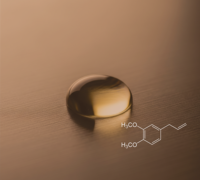 Méthyl Eugénol Parfum Naturel de Clou de Girofle (CL-801) Van Aroma