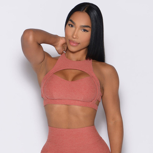 Sujetador deportivo de alta calidad Georgia Peach Powerhouse, de doble capa, con escote pronunciado y de alto impacto para mujeres, para fitness y deportes. - Product Image 1