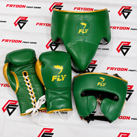 Kit de boxe professionnel personnalisé gris doré pour l'entraînement, Muay Thai, avec gants de boxe, protection de tête et de cuisse OEM ODM