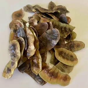 Polvo de Cápsulas de Cassia Angustifolia, Polvo de Cápsulas de Senna, Polvo Herbal Botánico para Té Ayurvédico, Bienestar Natural y Remedios Herbales - Product Image 2