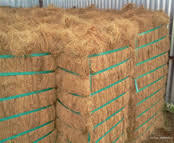 Balle de fibres de coco pour la conception de cordons, matelas, brosses et produits d'ameublement, avec une forte capacité de rétention d'eau et des propriétés ignifuges. - Product Image 4