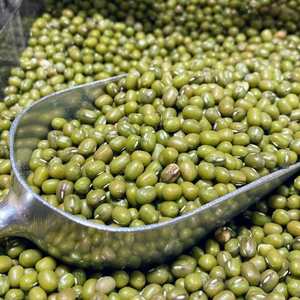 Venta al por Mayor de Frijoles Mung Secos Orgánicos a Granel, Calidad Premium, 100% Puro y Natural, Grado Alimenticio, al Mejor Precio del Mercado, Mejor Oferta con Descuento - Product Image 3