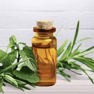 Aceite Esencial de Árbol de Té de Alta Calidad para Aromaterapia, Cuidado Personal, Cosmética y Aplicaciones Comerciales Disponible al Mejor Precio - Product Image 5